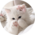 Аватар кtо я 1к2