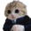 Аватар деловой котик