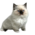 Аватар LenKuSS