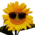Аватар Fullpoh
