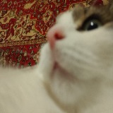 Статус