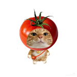 Статус